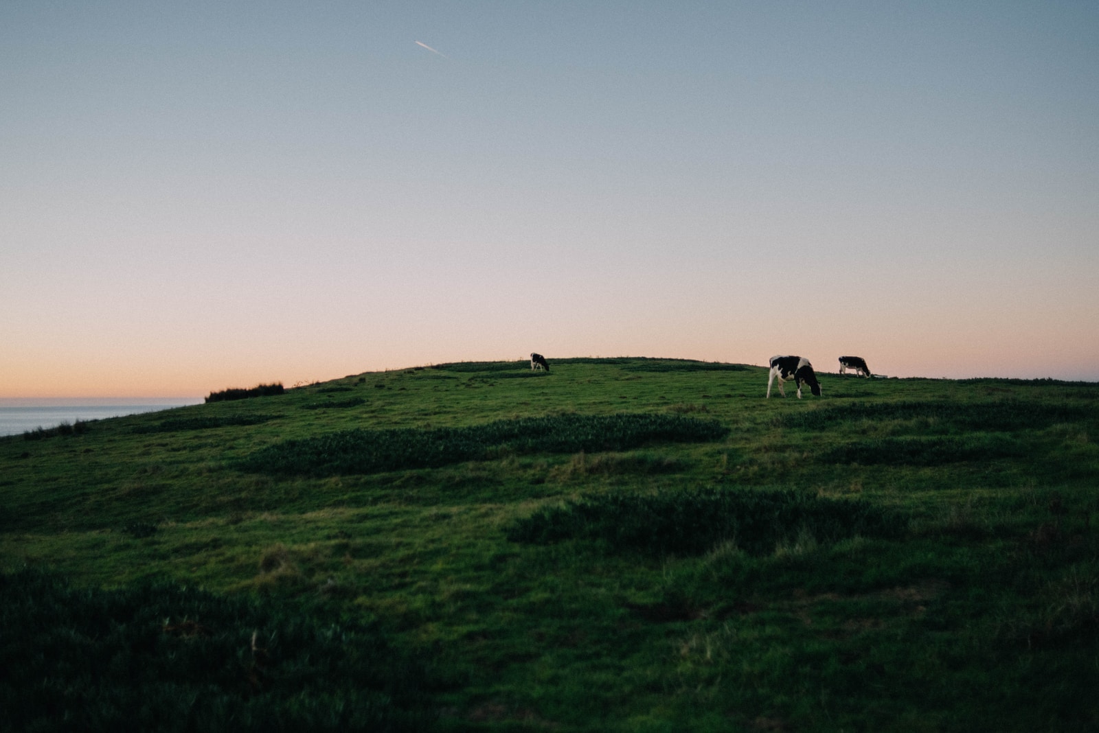 “Blessed Because of Jacob” (Genesis 30:25–43)