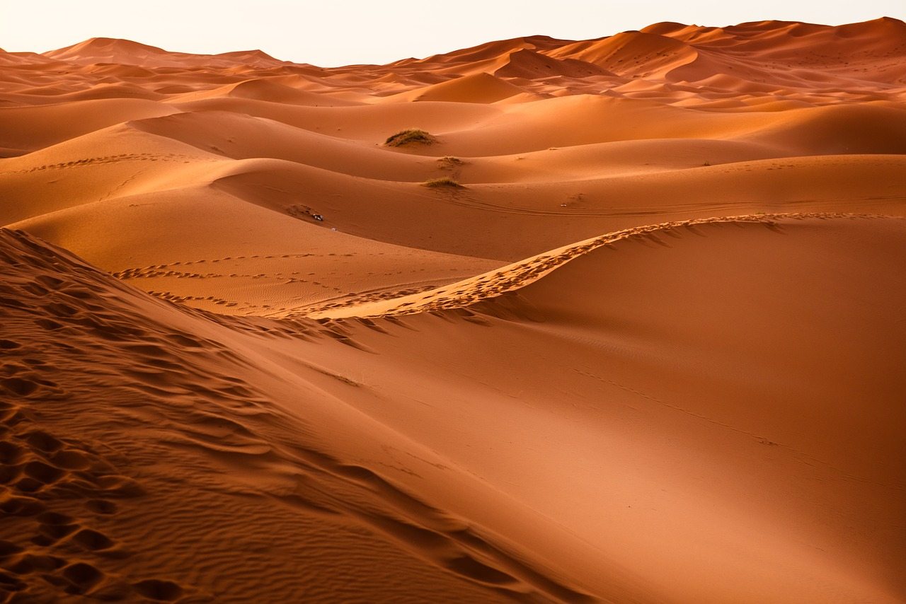 “Sojourning in Egypt” (Genesis 12:10–20)
