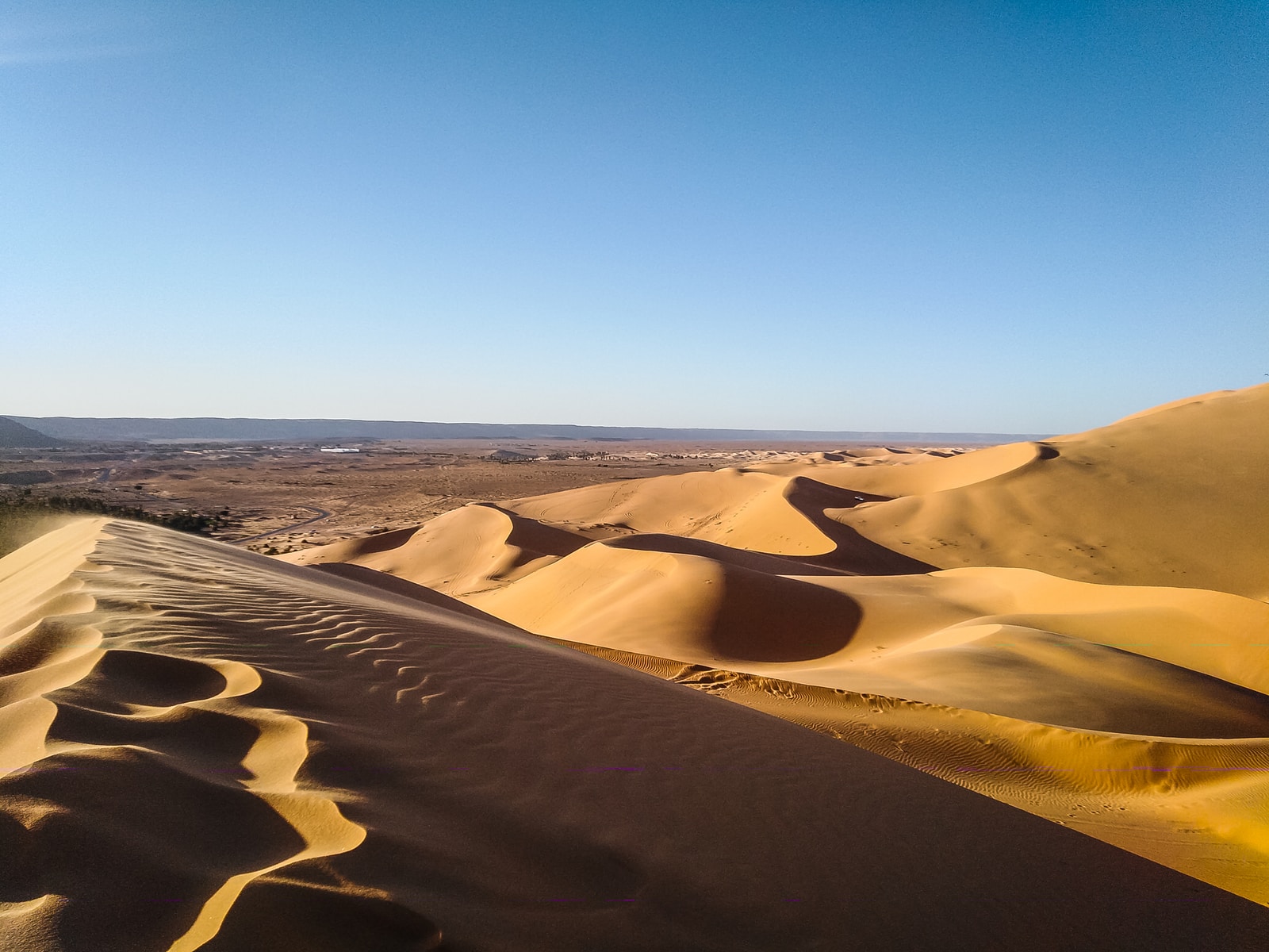 “Returning to the Land of Promise” (Genesis 31:1–21)