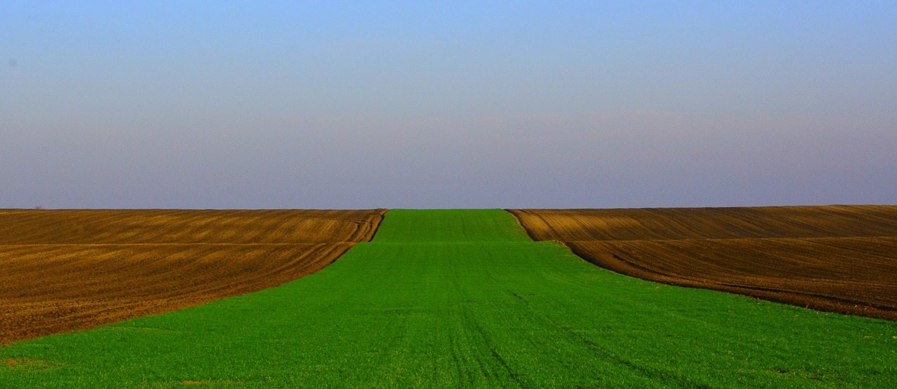 "Commissioned to Serve" (John 4:27–42)